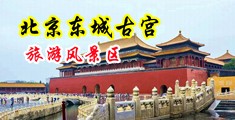 男生插入女生下面的网站中国北京-东城古宫旅游风景区